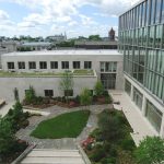 Harvard Law School Green Roof