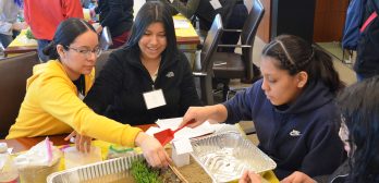Banners Girls Learning Engineering