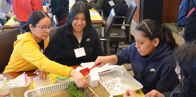 Banners Girls Learning Engineering