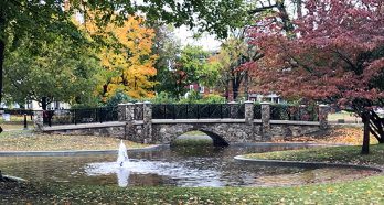 10957 Farlow Park Bridge 1