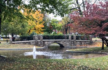 10957 Farlow Park Bridge 1