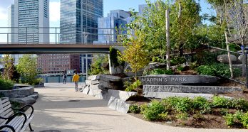 11155 Martins Park 1