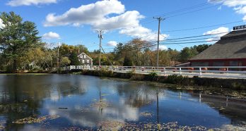 11902 1 Wareham Bridges 1