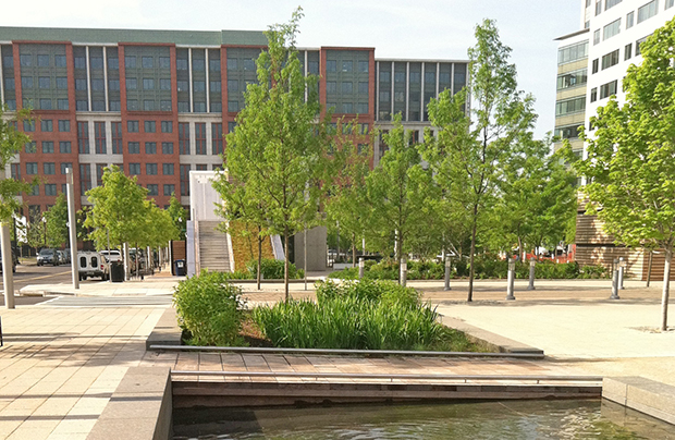 7408 Washington Canal Park Trees in Center