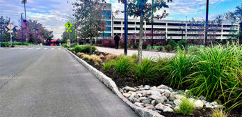 Roadside Bioretention Near Garage