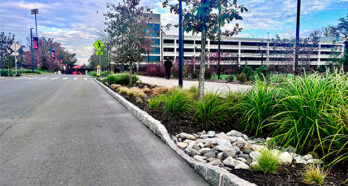 Roadside Bioretention Near Garage