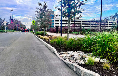 Roadside Bioretention Near Garage