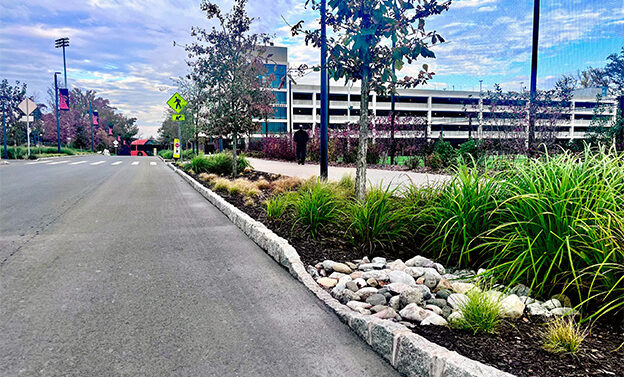 Roadside Bioretention Near Garage