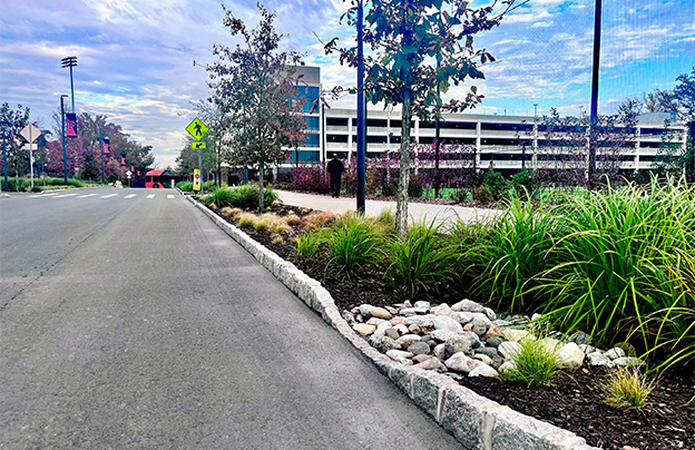 Roadside Bioretention Near Garage