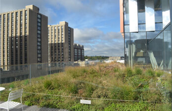 Additional Image 2