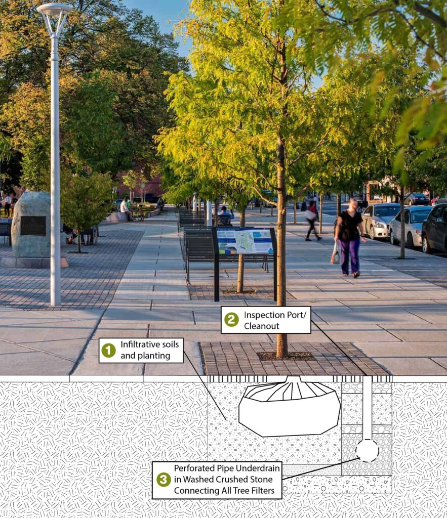 Image 5 Nitsch Bwsc Gi Handbook Infrastructure Components To Maintain For Tree Filter Peabody Square
