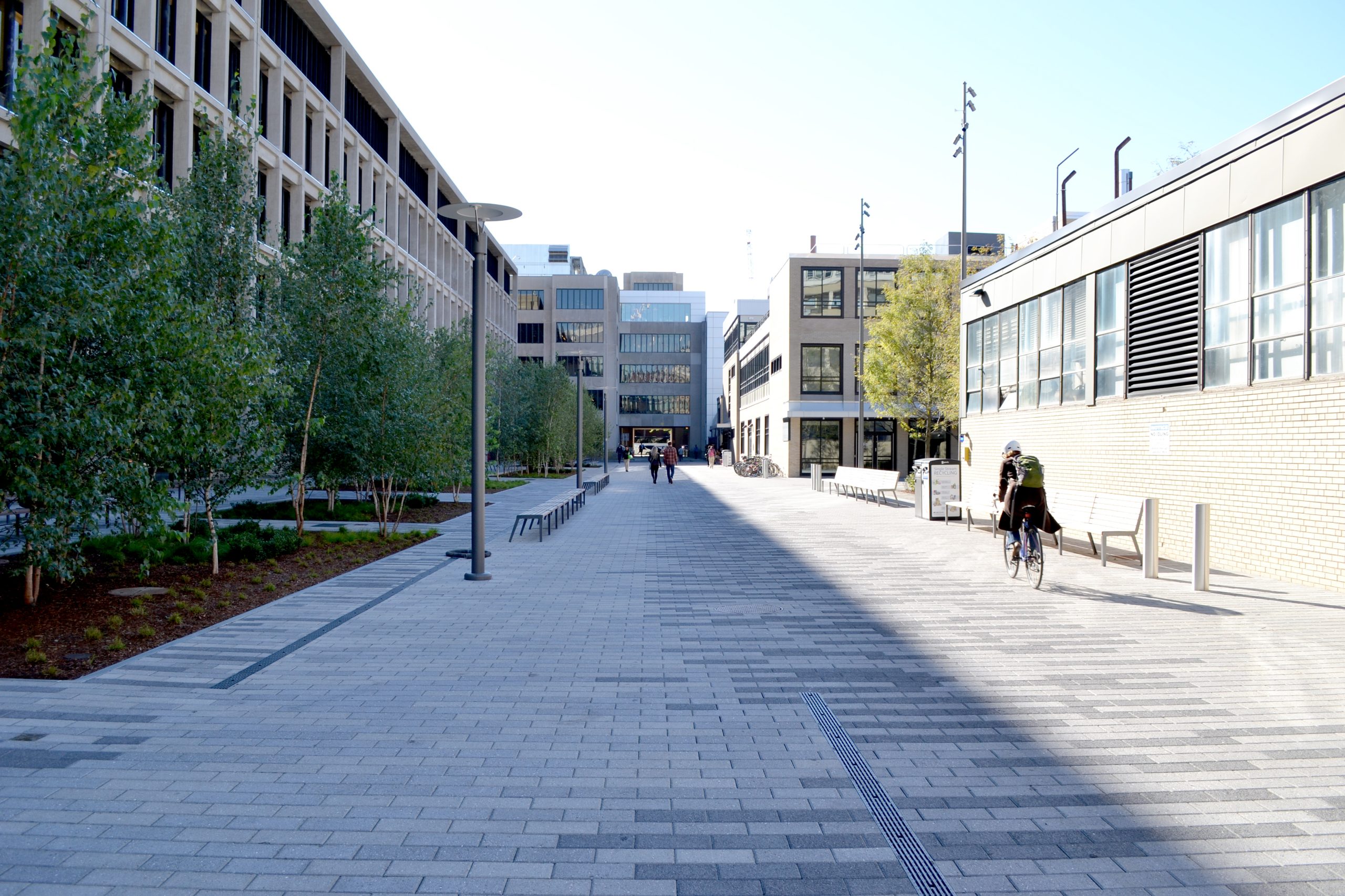 Photo 4 Mit North Corridor Nitsch Scaled